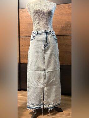 Celebrity Pink Blue Maxi Skirt